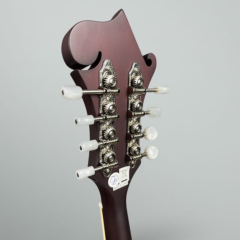 Epiphone F-5 Studio 2024 - Wine Red Satin