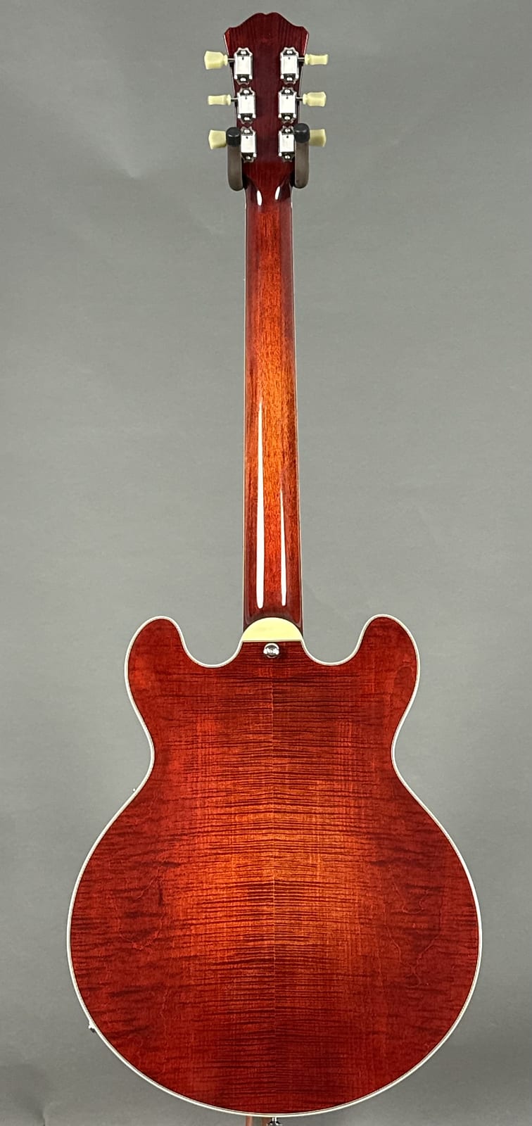 Eastman T484 2025 - Classic