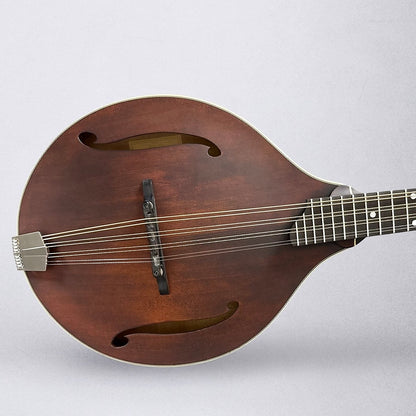 Eastman MDO305 A-Style Octave Mandolin 2025 - Classic