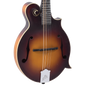 The Loar LM590-MS F-Style Mandolin