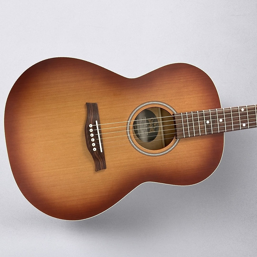 Seagull Entourage Folk 2025 - Rustic Burst