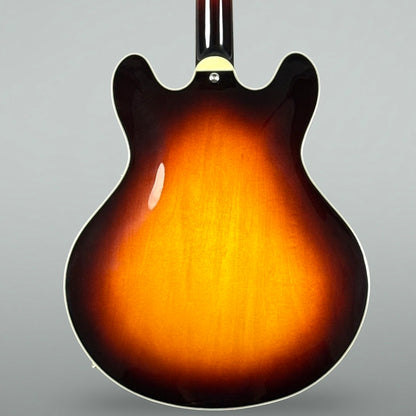 Eastman T386 2024 - Sunburst