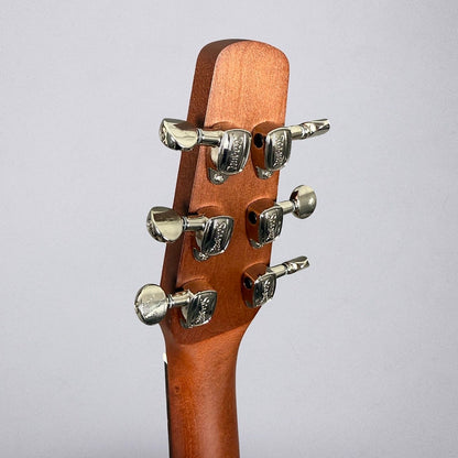 Seagull Entourage Folk 2025 - Rustic Burst