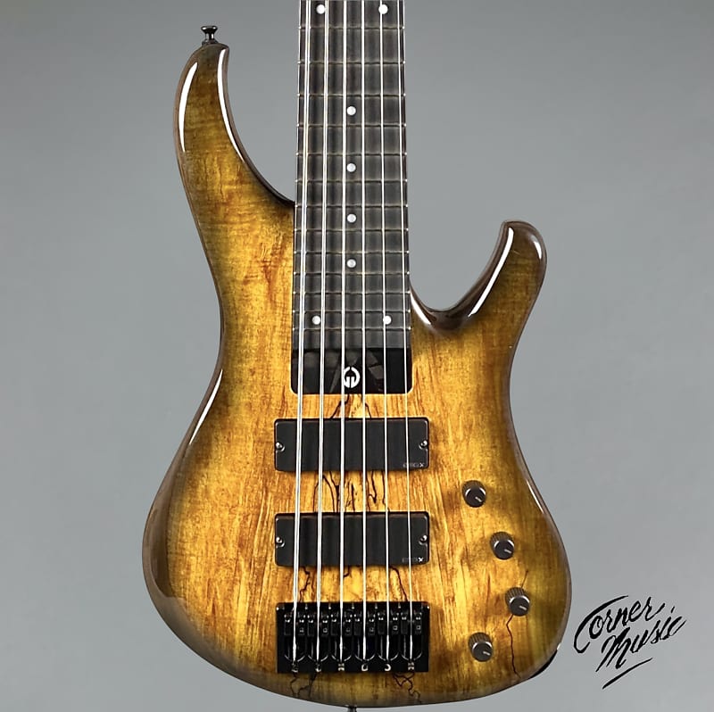 G. Gould GGi6 2023  Beeswing Burst