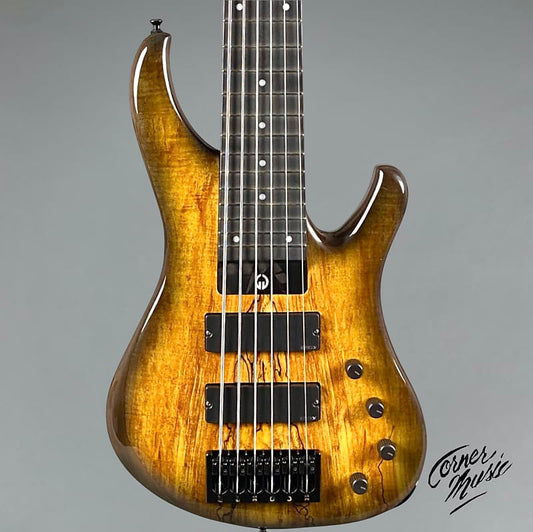 G. Gould GGi6 2023  Beeswing Burst