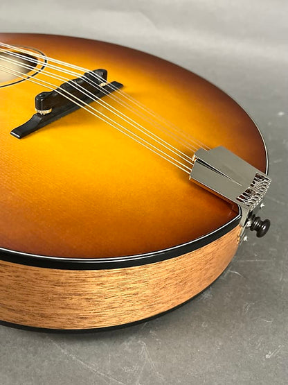 Eastman PCH-M104 - Goldburst