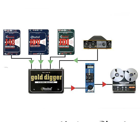 Radial MS4 Gold Digger