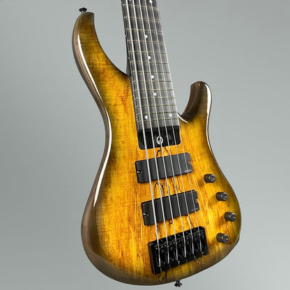 G. Gould GGi6 2023  Beeswing Burst