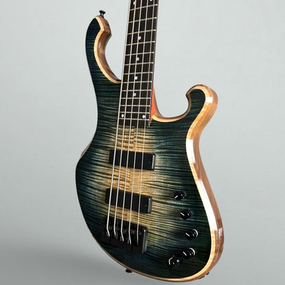 R.Hyde Soul Machine 5-String Bass - Black Burst
