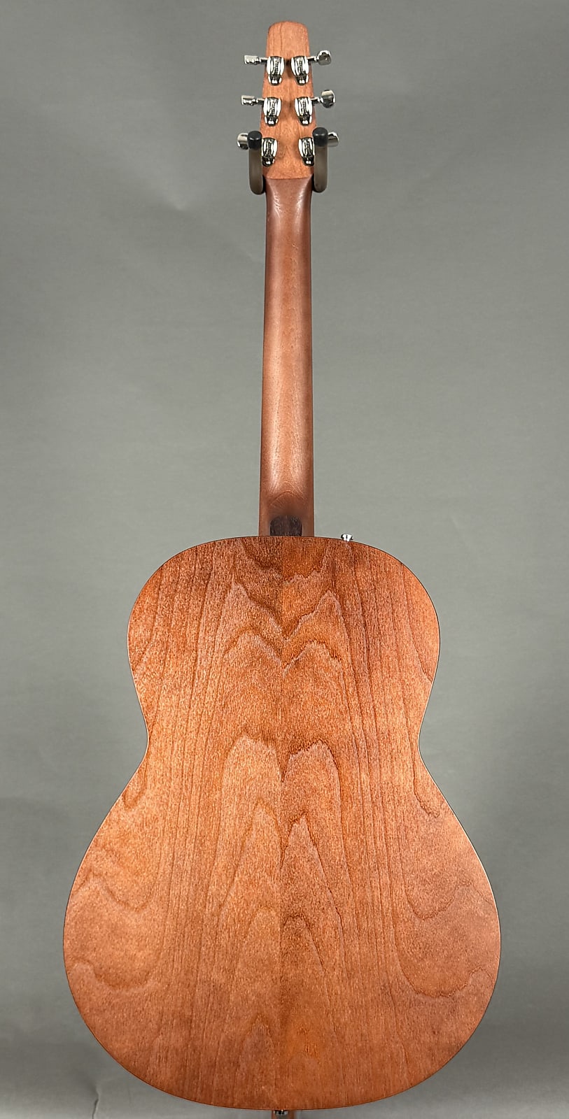 Seagull Entourage Folk 2025 - Rustic Burst