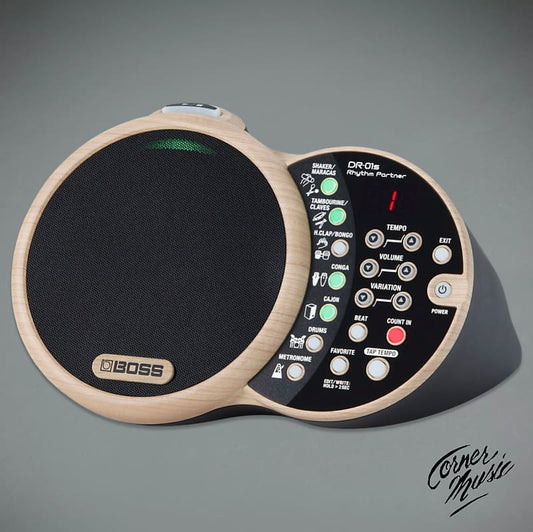 Boss DR-01s Rhythm Partner Drum Machine