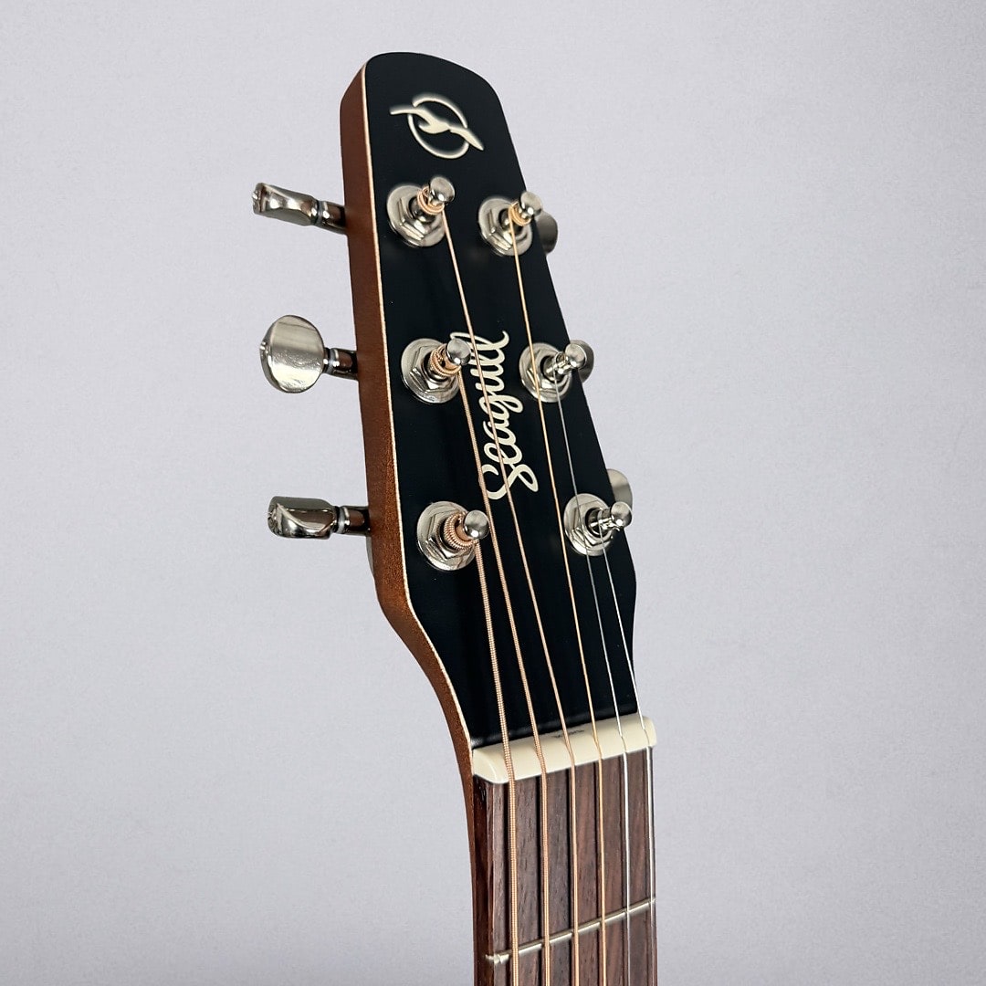 Seagull Entourage Folk 2025 - Rustic Burst