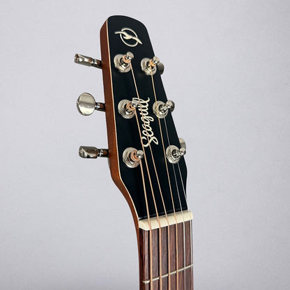 Seagull Entourage Folk 2025 - Rustic Burst